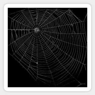 Spiders Web Sticker